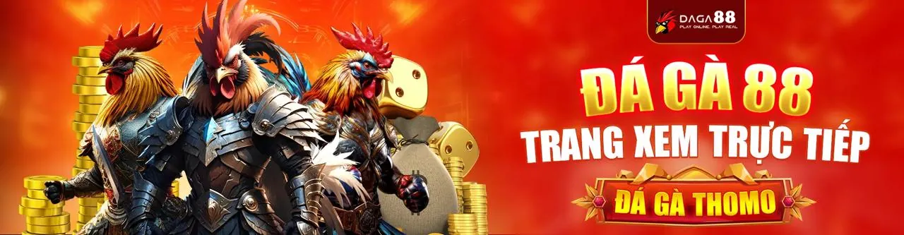 Đấu Gà kịch tính tại link 28bet