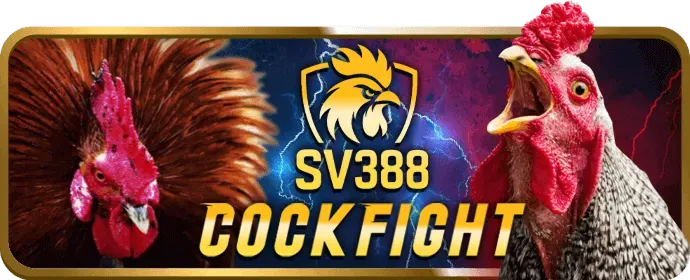 Thưởng nạp lại hàng ngày link 28bet
